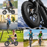 YVY Q16 16" Fat Tires Electric-Bikes-750W Motor 48v 20Ah Battery