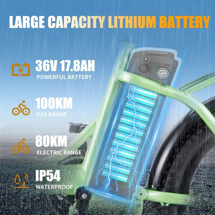 TWOFISH TF2 20" Folding Electric Bike 250W Motor 36V 17.8Ah Battery