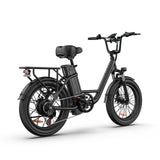 URLIFE E20 20" Step Through Electric Bike 500W Motor 48V 13Ah Battery (US)