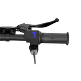 URLIFE F1L 14"Folding Electric Bike 500W Peak Motor 48V 7.5Ah Battery (US edition)