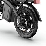 URLIFE F1L 14"Folding Electric Bike 500W Peak Motor 48V 7.5Ah Battery (US edition)