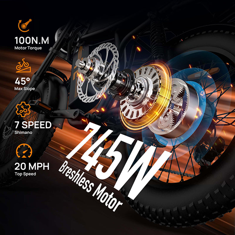 URLIFE T2 20" Off Road Electric Bike 745W Motor 48V 15.6Ah Battery (US Version)