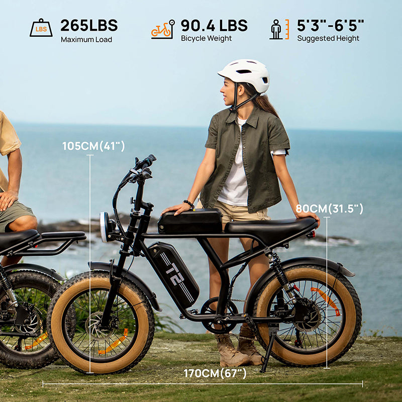 URLIFE T2 20" Off Road Electric Bike 745W Motor 48V 15.6Ah Battery (US Version)