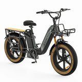 ASOMTOM MAMMOTH 20" Cargo Electric Bike 750W Motor 48V 15Ah Dual Battery