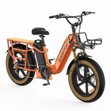 ASOMTOM MAMMOTH 20" Cargo Electric Bike 750W Motor 48V 15Ah Dual Battery