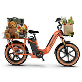 ASOMTOM MAMMOTH 20" Cargo Electric Bike 750W Motor 48V 15Ah Dual Battery