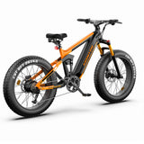 ASOMTOM SR6 26" Fat Tire All-Terrain Electric Bike 750W Motor 48V 16Ah Battery