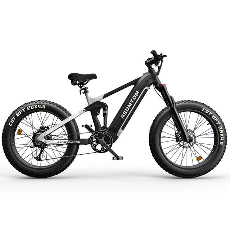 ASOMTOM SR6 26" Fat Tire All-Terrain Electric Bike 750W Motor 48V 16Ah Battery