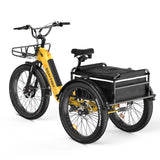 ASOMTOM WHALE 3.0 24" High-Capacity Durable Electric Trike 500W Motor 48V 20Ah Battery