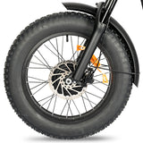 POLEEJIEK PLJ2008 20" Fat Tire Electric Bike 2000W Dual Motors 48V 20Ah Battery