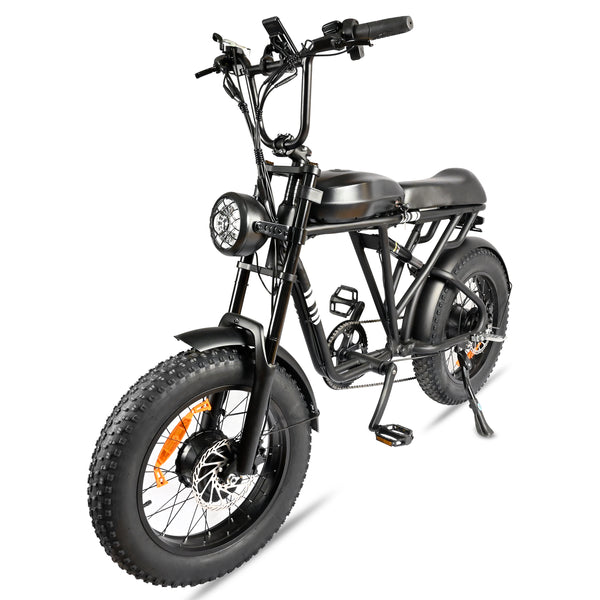 POLEEJIEK PLJ2008 20" Fat Tire Electric Bike 2000W Dual Motors 48V 20Ah Battery