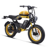 HAPPYRUN G100 Pro Fat Tire Electric Bikes 3000W 72V 33Ah Dual Batteries
