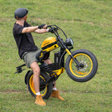 HAPPYRUN G100 Pro Fat Tire Electric Bikes 3000W 72V 33Ah Dual Batteries