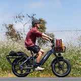 HIMIWAY Big Dog 20" Electric Cargo Bike 750W Motor 48V 20Ah Battery
