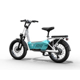 HIMIWAY C3 20" Cargo Electric Bike 750W Motor 48V 20Ah Battery