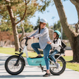 HIMIWAY C3 20" Cargo Electric Bike 750W Motor 48V 20Ah Battery