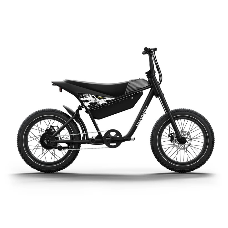 HIMIWAY C5 20" Sport Version Electric Bike 750W (US)/ 250W (EU) Motor 48V 20Ah Battery