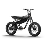 HIMIWAY C5 20" Sport Version Electric Bike 750W (US)/ 250W (EU) Motor 48V 20Ah Battery