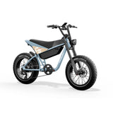 HIMIWAY C5 20" Ultra Version Electric Bile 750W (US)/ 250W (UK&EU) Motor 48V 20Ah Battery