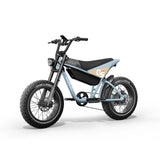 HIMIWAY C5 20" Ultra Version Electric Bile 750W (US)/ 250W (UK&EU) Motor 48V 20Ah Battery