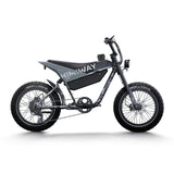 HIMIWAY C5 20" Ultra Version Electric Bile 750W (US)/ 250W (UK&EU) Motor 48V 20Ah Battery