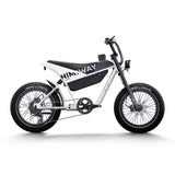 HIMIWAY C5 20" Ultra Version Electric Bile 750W (US)/ 250W (UK&EU) Motor 48V 20Ah Battery