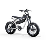HIMIWAY C5 20" Ultra Version Electric Bile 750W (US)/ 250W (UK&EU) Motor 48V 20Ah Battery