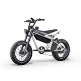 HIMIWAY C5 20" Ultra Version Electric Bile 750W (US)/ 250W (UK&EU) Motor 48V 20Ah Battery