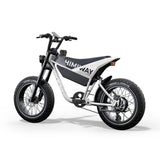 HIMIWAY C5 20" Ultra Version Electric Bile 750W (US)/ 250W (UK&EU) Motor 48V 20Ah Battery