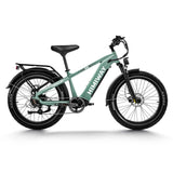 HIMIWAY D5 (Zebra) 26" Fat Tire All-terrain Electric Bike 750W Motor 48V 20Ah Battery