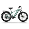 HIMIWAY D5 (Zebra) 26" Fat Tire All-terrain Electric Bike 750W Motor 48V 20Ah Battery