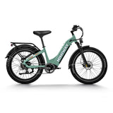 HIMIWAY D5 ST (Zebra ST) 26" Fat Tire All-terrain Electric Bike 750W Motor 48V 20Ah Battery