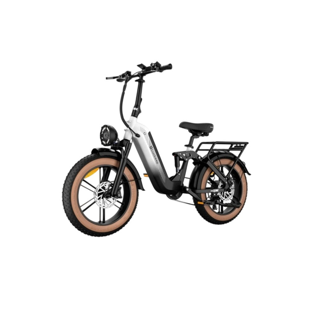 LUCKEEP X3 20" Cargo Electric Bike 750W(1400W Peak) Motor 48V 20Ah Battery