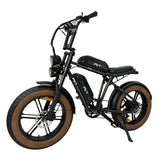 PVY X20 20" Off Road Electric Bike 250W Motor 48V 30Ah Battery