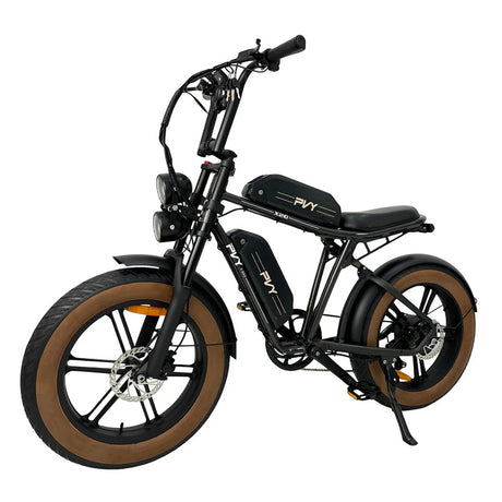 PVY X20 20" Off Road Electric Bike 250W Motor 48V 30Ah Battery