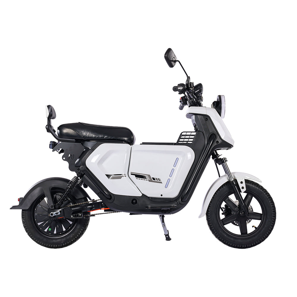 BEZIOR XIAONIU A  12" Off-Road Electric Bike 1500W Motor 48V 20Ah Battery